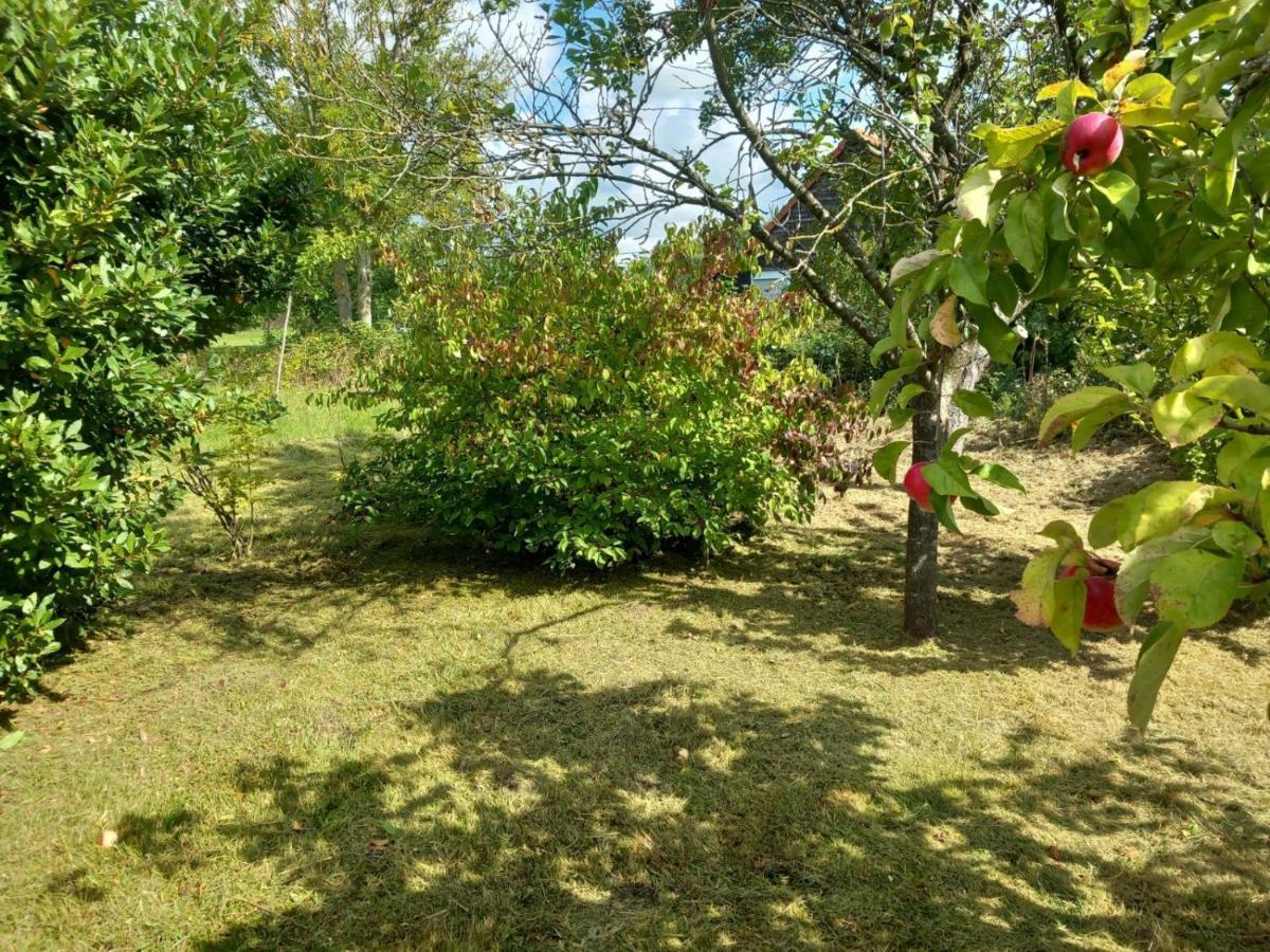Le Jardin Secret Villa Saint-Omer  Bagian luar foto